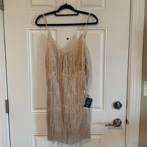 Stunning sequence and fringe knee length dress.